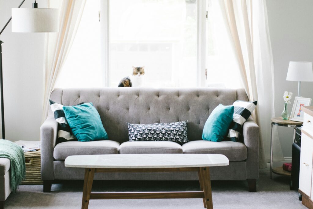 sofa-cleaning-services