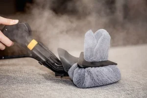 eco-friendly-bedbug-elimination-steam-cleaning eco-friendly-bedbug-elimination-steam-cleaning